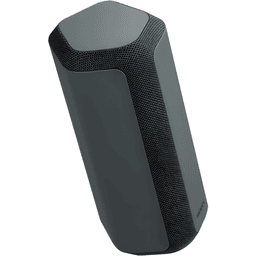 Sony SRS-XE300 2