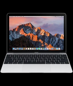 Apple MacBook (Retina, 12" Early 2016) 1